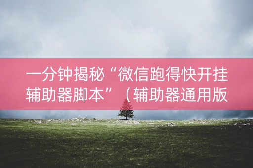 一分钟揭秘“微信跑得快开挂辅助器脚本”（辅助器通用版)