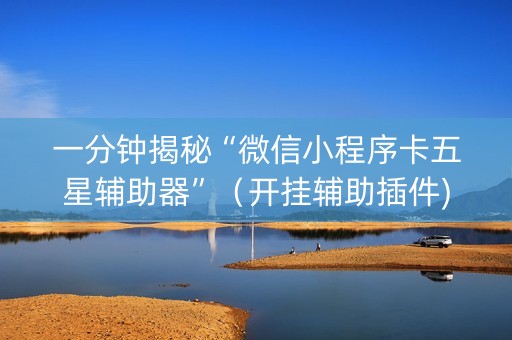 一分钟揭秘“微信小程序卡五星辅助器”（开挂辅助插件)