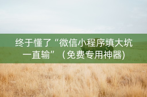 终于懂了“微信小程序填大坑一直输”（免费专用神器)