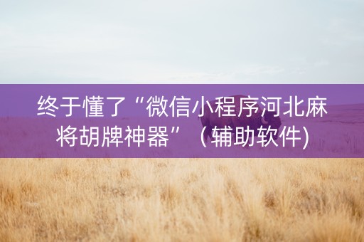 终于懂了“微信小程序河北麻将胡牌神器”（辅助软件)