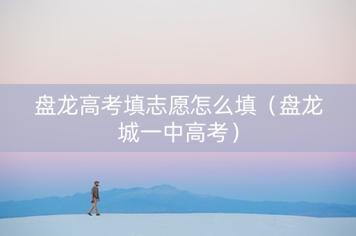 盘龙高考填志愿怎么填（盘龙城一中高考）