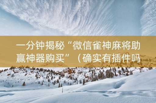 一分钟揭秘“微信雀神麻将助赢神器购买”（确实有插件吗)