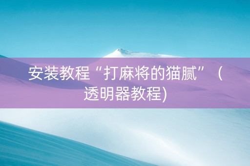 安装教程“打麻将的猫腻”（透明器教程)