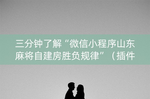 三分钟了解“微信小程序山东麻将自建房胜负规律”（插件开挂免费AI)