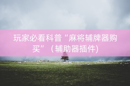 玩家必看科普“麻将辅牌器购买”（辅助器插件)