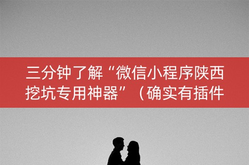 三分钟了解“微信小程序陕西挖坑专用神器”（确实有插件吗)