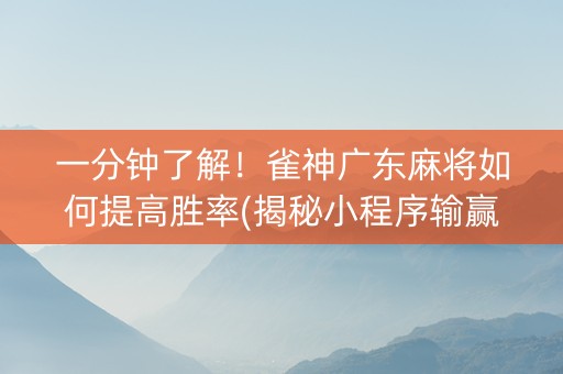 一分钟了解！雀神广东麻将如何提高胜率(揭秘小程序输赢规律)