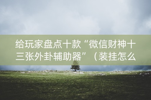 给玩家盘点十款“微信财神十三张外卦辅助器”（装挂怎么安装)