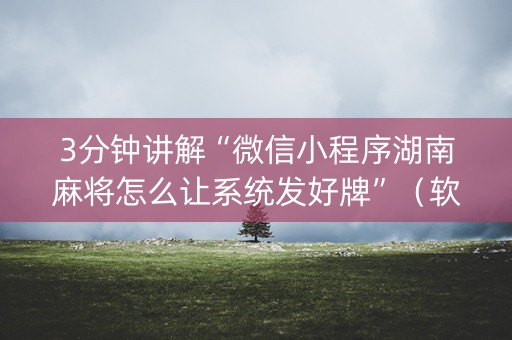 3分钟讲解“微信小程序湖南麻将怎么让系统发好牌”（软件出售)