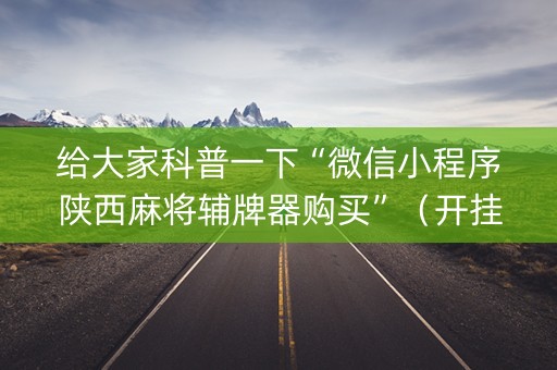 给大家科普一下“微信小程序陕西麻将辅牌器购买”（开挂辅助插件)