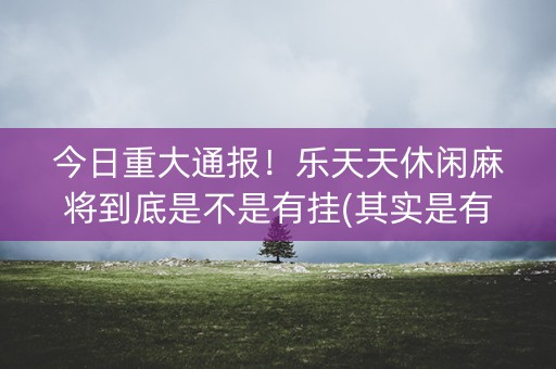 今日重大通报！乐天天休闲麻将到底是不是有挂(其实是有挂确实有挂)