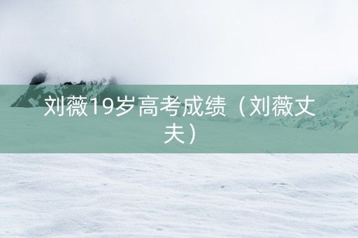 刘薇19岁高考成绩（刘薇丈夫）
