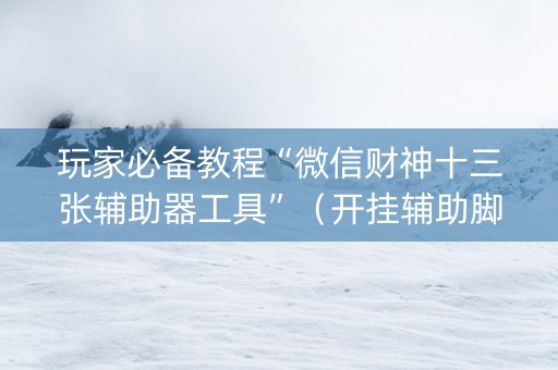 玩家必备教程“微信财神十三张辅助器工具”（开挂辅助脚本)