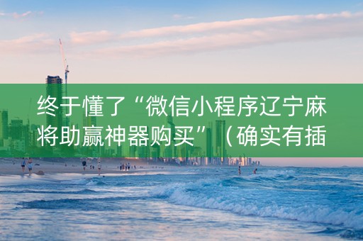 终于懂了“微信小程序辽宁麻将助赢神器购买”（确实有插件吗)