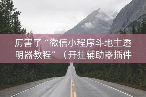 厉害了“微信小程序斗地主透明器教程”（开挂辅助器插件)