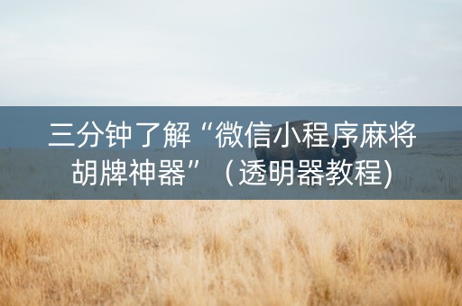 三分钟了解“微信小程序麻将胡牌神器”（透明器教程)