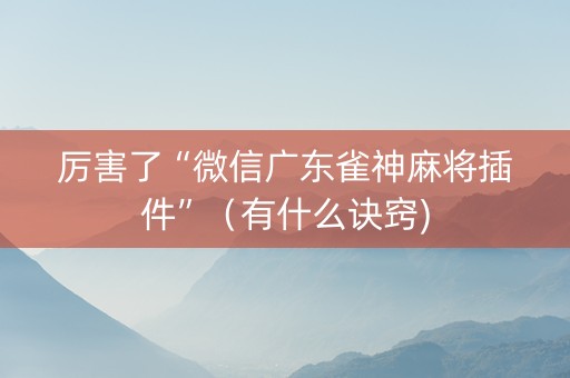 厉害了“微信广东雀神麻将插件”（有什么诀窍)