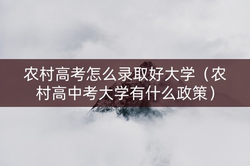 农村高考怎么录取好大学（农村高中考大学有什么政策）