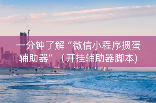 一分钟了解“微信小程序掼蛋辅助器”（开挂辅助器脚本)