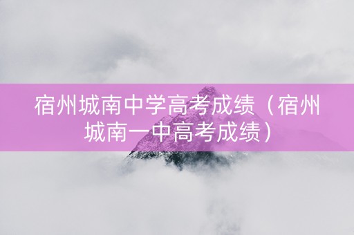 宿州城南中学高考成绩（宿州城南一中高考成绩）
