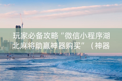 玩家必备攻略“微信小程序湖北麻将助赢神器购买”（神器通用版)