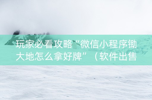 玩家必看攻略“微信小程序锄大地怎么拿好牌”（软件出售)