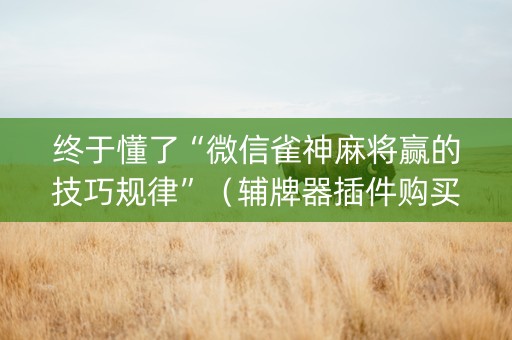 终于懂了“微信雀神麻将赢的技巧规律”（辅牌器插件购买)
