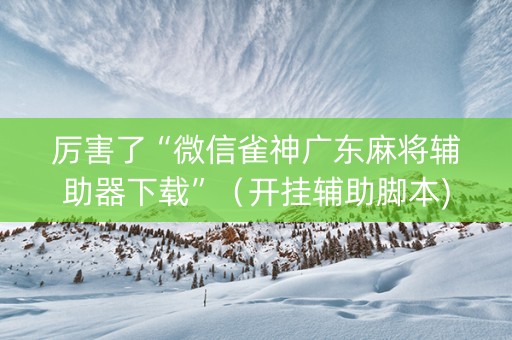 厉害了“微信雀神广东麻将辅助器下载”（开挂辅助脚本)