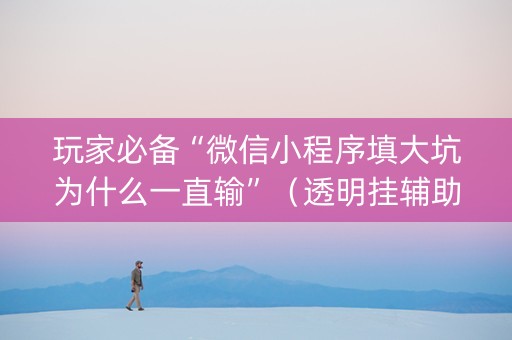 玩家必备“微信小程序填大坑为什么一直输”（透明挂辅助器)