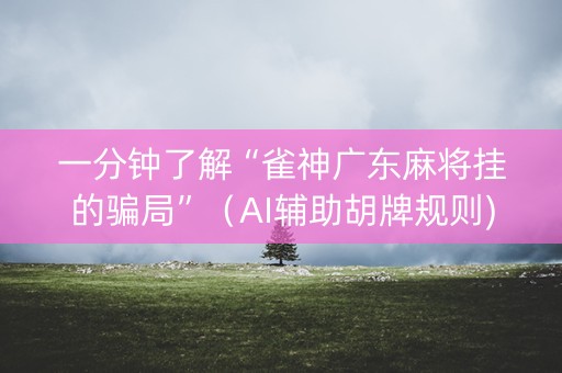 一分钟了解“雀神广东麻将挂的骗局”（AI辅助胡牌规则)