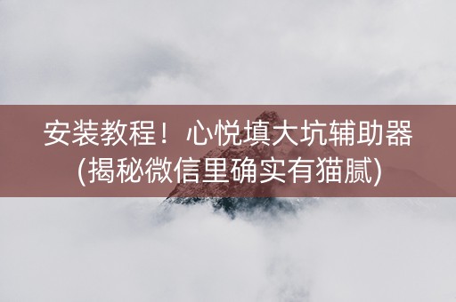 安装教程！心悦填大坑辅助器(揭秘微信里确实有猫腻)
