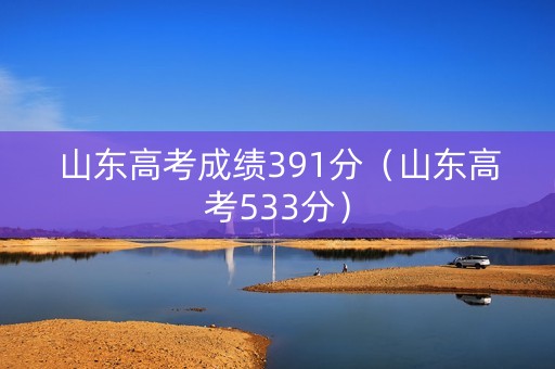 山东高考成绩391分（山东高考533分）