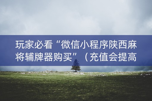 玩家必看“微信小程序陕西麻将辅牌器购买”（充值会提高胜率么)