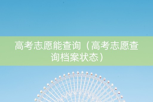 高考志愿能查询（高考志愿查询档案状态）
