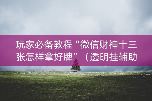 玩家必备教程“微信财神十三张怎样拿好牌”（透明挂辅助器)
