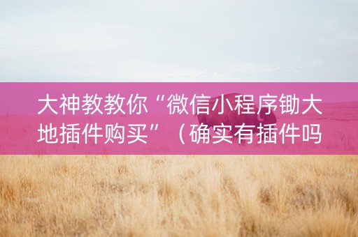 大神教教你“微信小程序锄大地插件购买”（确实有插件吗)