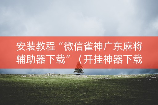 安装教程“微信雀神广东麻将辅助器下载”（开挂神器下载)