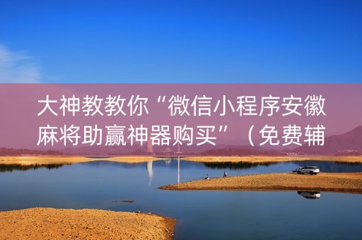 大神教教你“微信小程序安徽麻将助赢神器购买”（免费辅助)