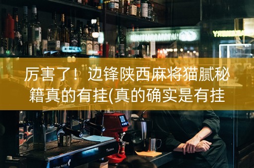 厉害了！边锋陕西麻将猫腻秘籍真的有挂(真的确实是有挂)