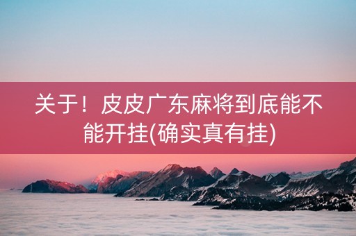 关于！皮皮广东麻将到底能不能开挂(确实真有挂)