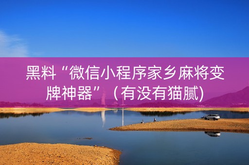 黑料“微信小程序家乡麻将变牌神器”（有没有猫腻)