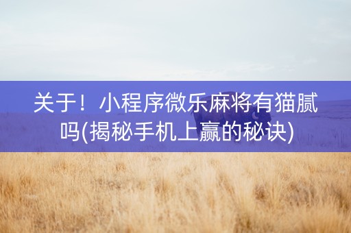 关于！小程序微乐麻将有猫腻吗(揭秘手机上赢的秘诀)