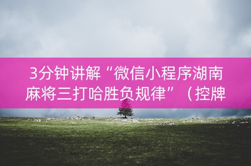 3分钟讲解“微信小程序湖南麻将三打哈胜负规律”（控牌神器)