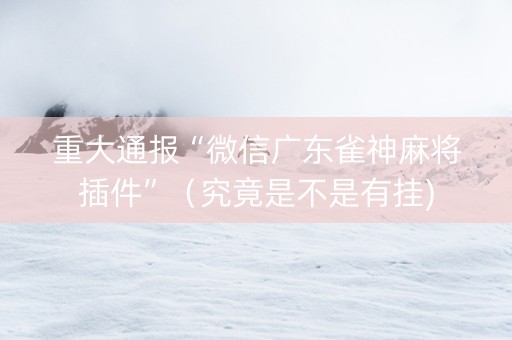 重大通报“微信广东雀神麻将插件”（究竟是不是有挂)