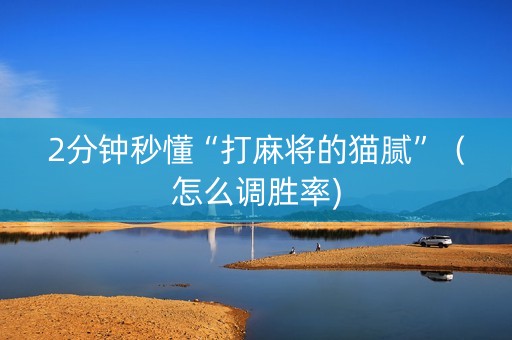 2分钟秒懂“打麻将的猫腻”（怎么调胜率)