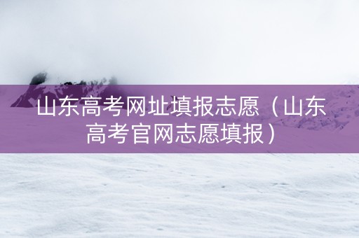 山东高考网址填报志愿（山东高考官网志愿填报）