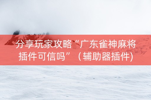 分享玩家攻略“广东雀神麻将插件可信吗”（辅助器插件)