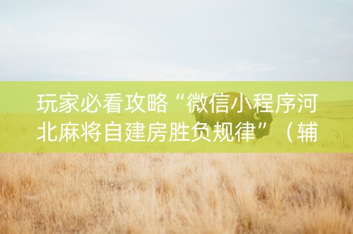 玩家必看攻略“微信小程序河北麻将自建房胜负规律”（辅助器通用版)