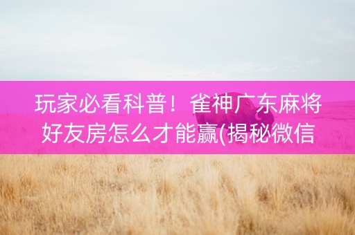 玩家必看科普！雀神广东麻将好友房怎么才能赢(揭秘微信里自建房怎么赢)