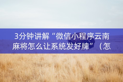 3分钟讲解“微信小程序云南麻将怎么让系统发好牌”（怎么增加胜率)